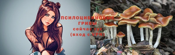 прущий лед Алзамай