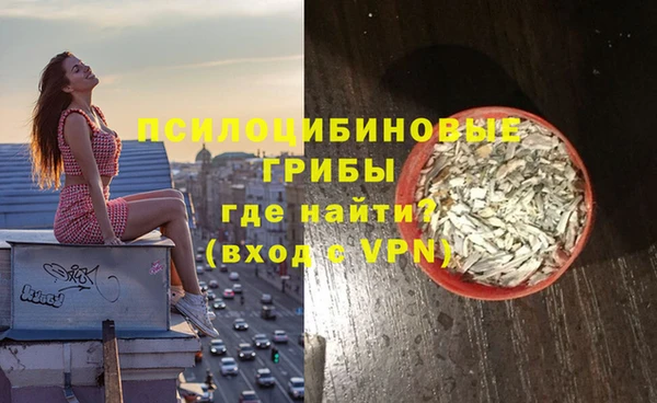 прущий лед Алзамай