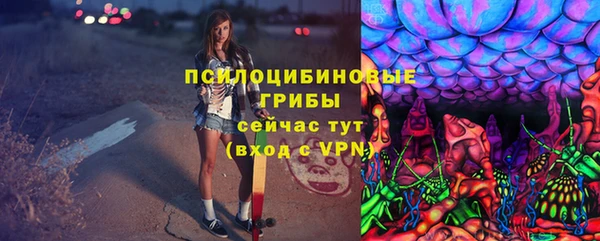 тгк Алексин