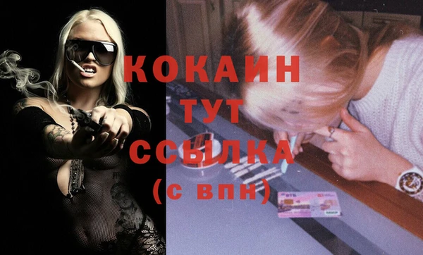 тгк Алексин