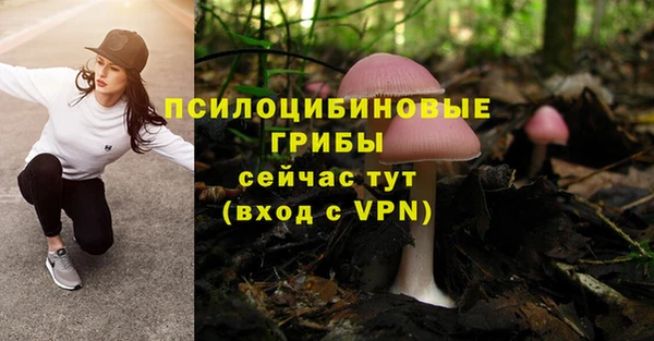 СК Алексеевка
