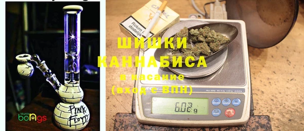 прущий лед Алзамай